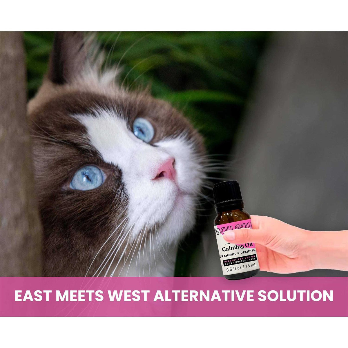 Natural Calming Pet Essential Oil Blend G693