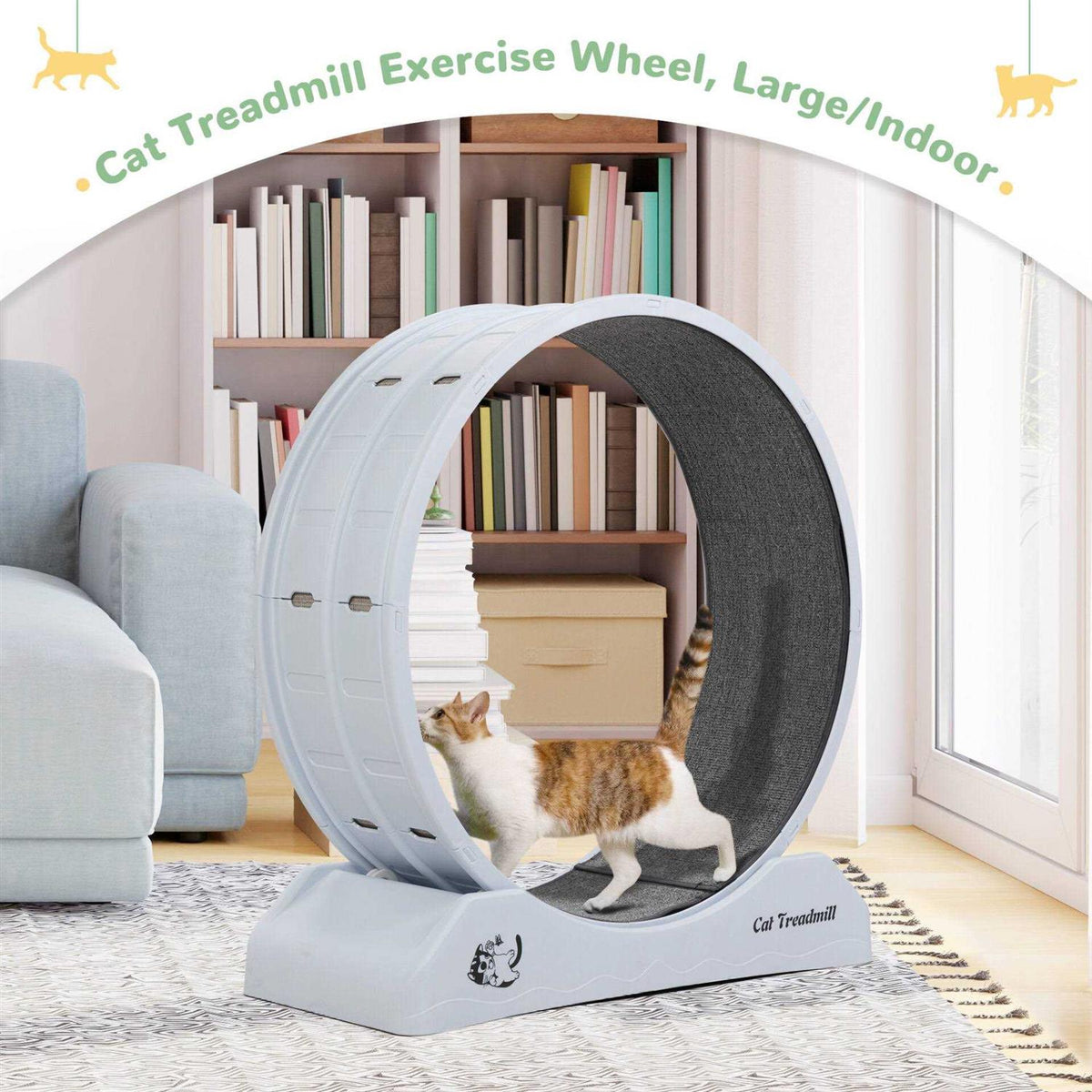 31.5L Cat Exercise Wheel with Locking Mechanism O6238