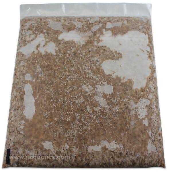 Frozen Mysis Shrimp M2054