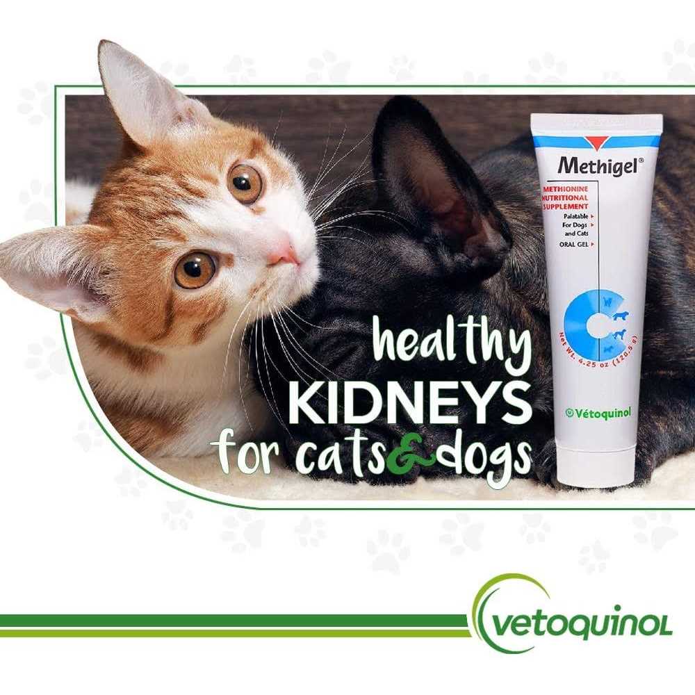 Urinary Acidifier for Dogs & Cats I3993