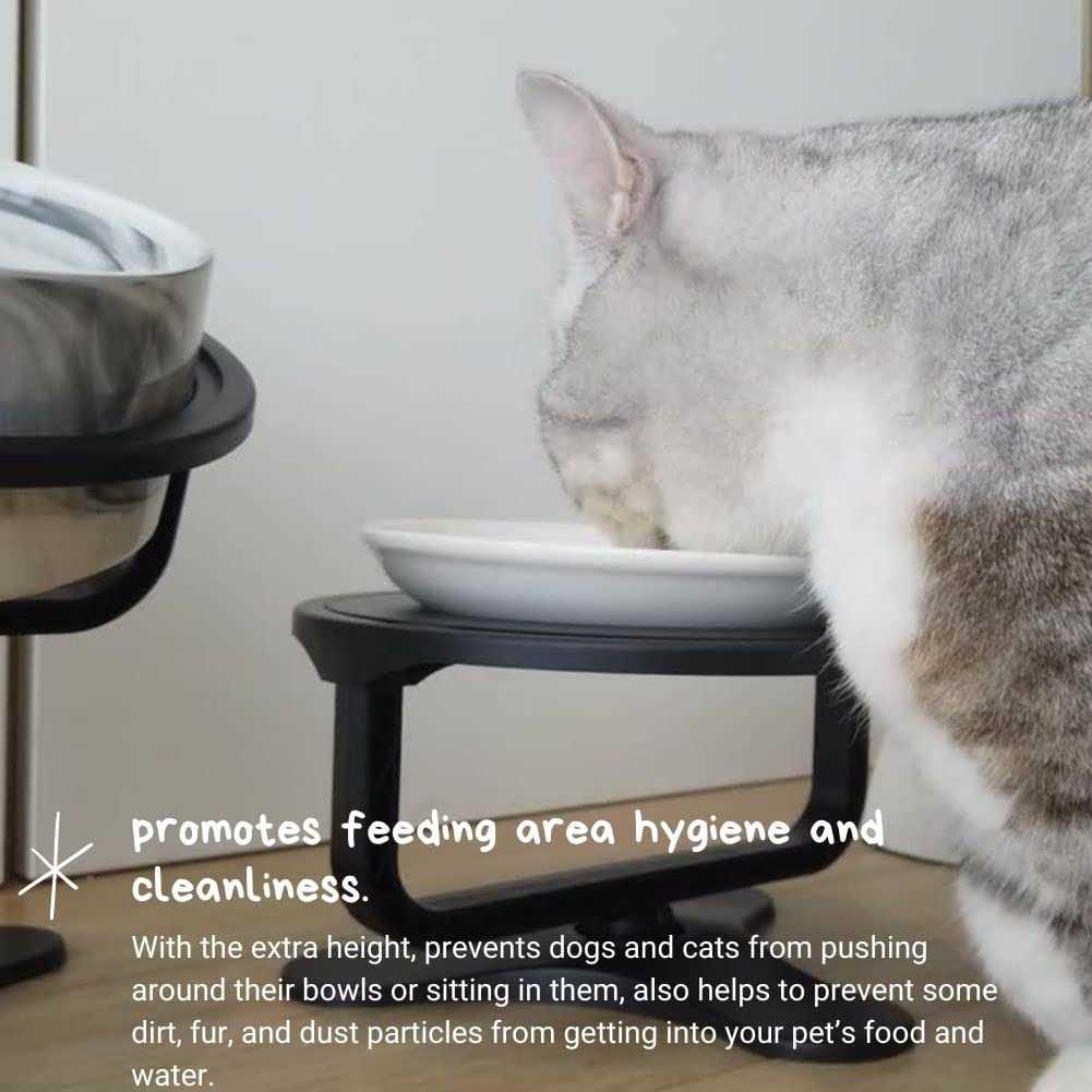 Adjustable Raised Cat Food Bowl K8784
