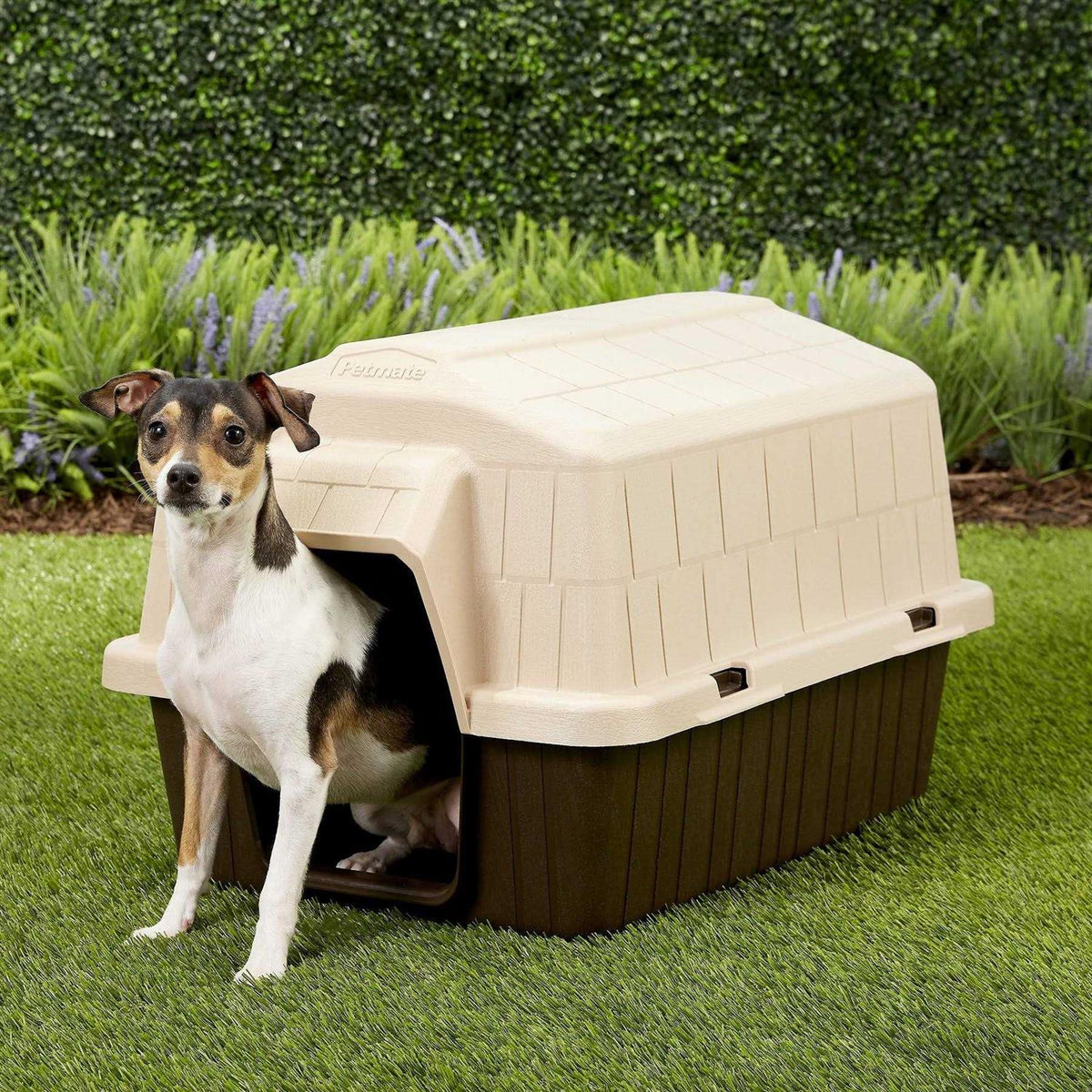 Dog House O44331