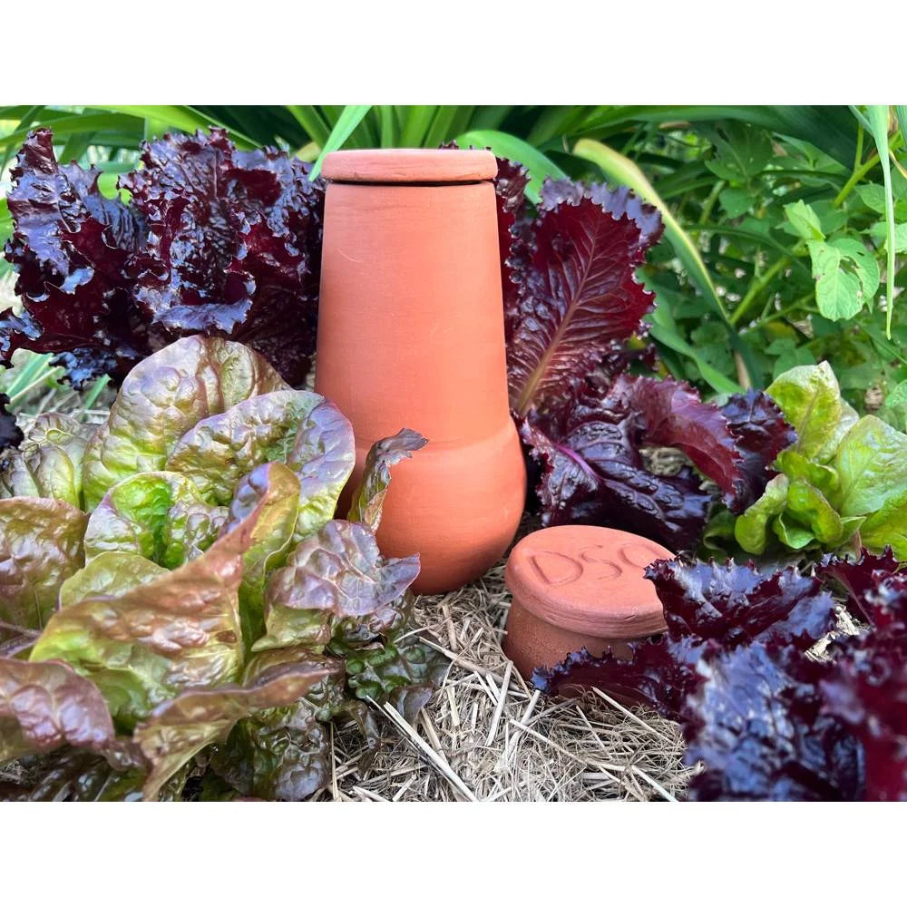 Terra Cotta Watering Pot, Medium, 1.5 Qt J71957