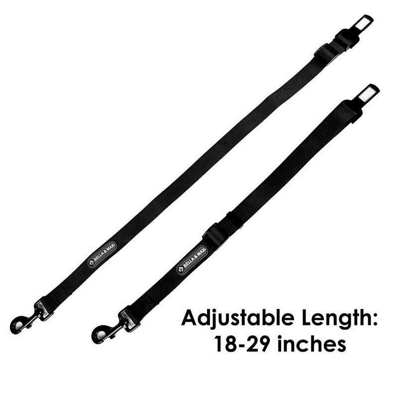 Pet Seat Belt Y394911