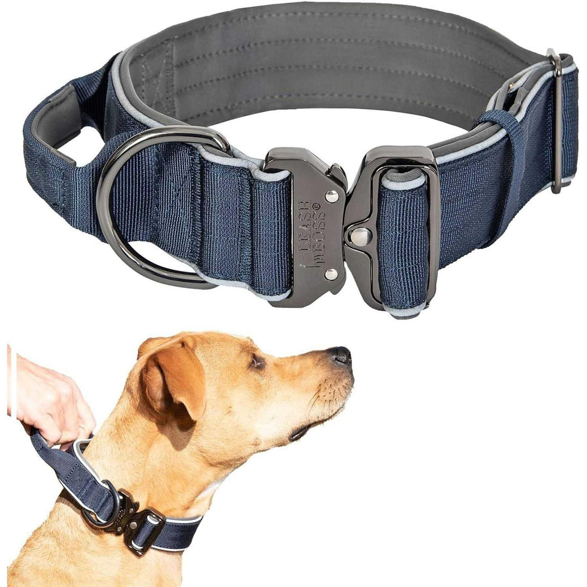 Heavy-Duty Adjustable Dog Collar with Handle M85438