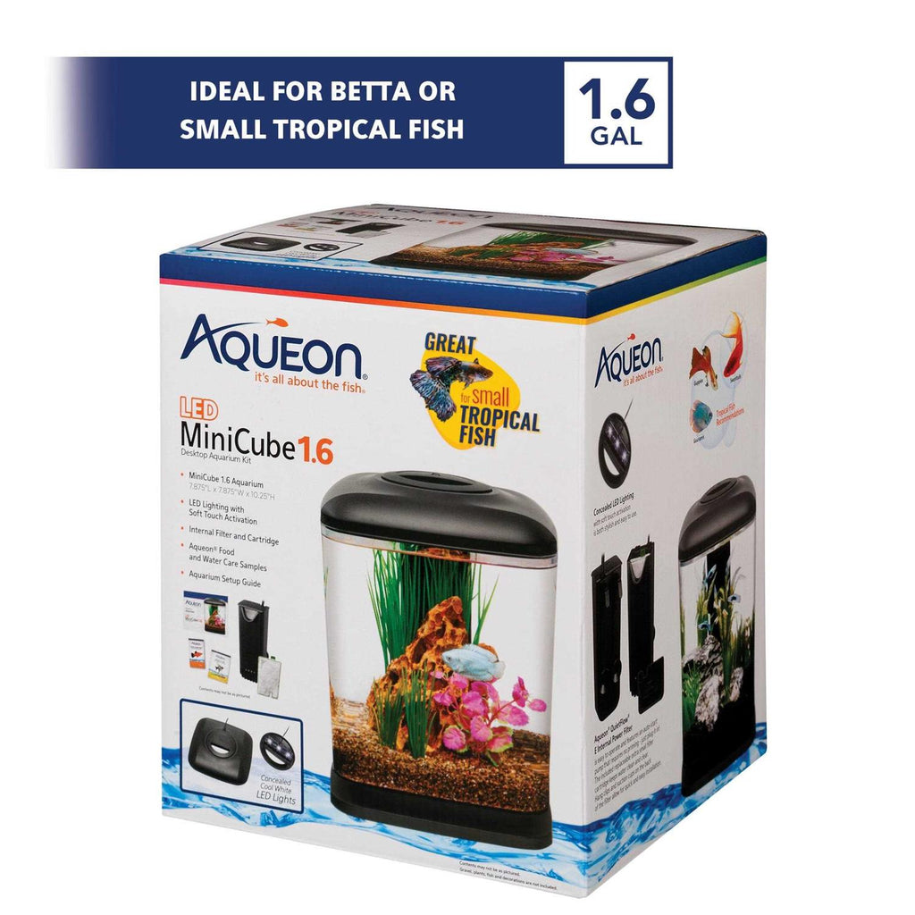 LED Mini Cube Aquarium Kit Z819