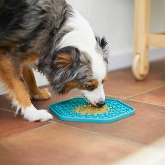 Silicone Treat Lick Mat I496