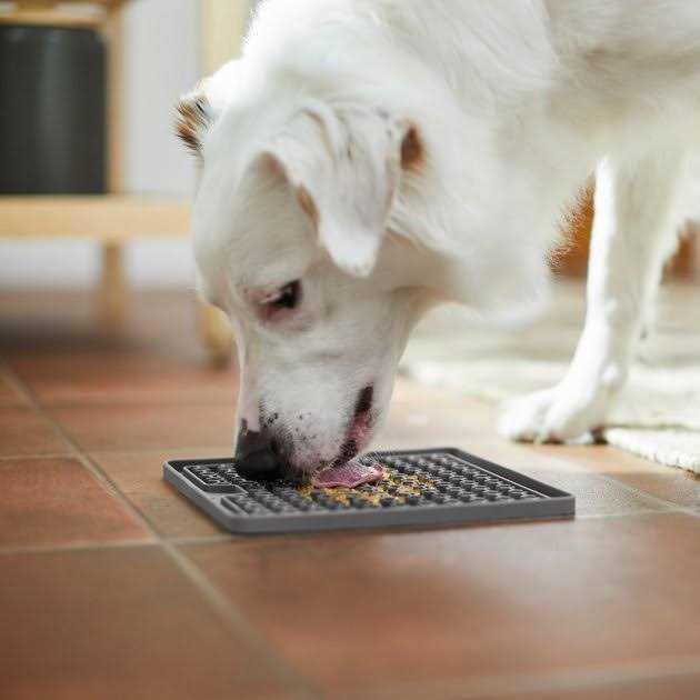 Silicone Treat Lick Mat I496