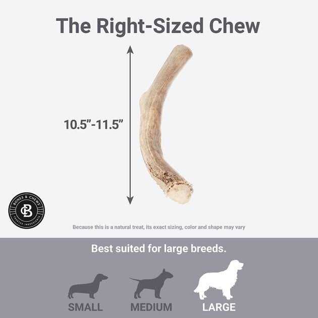 Deer Antler Dog Chew I2786