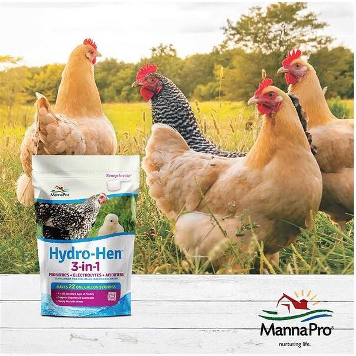3-in-1 Supplement L16436