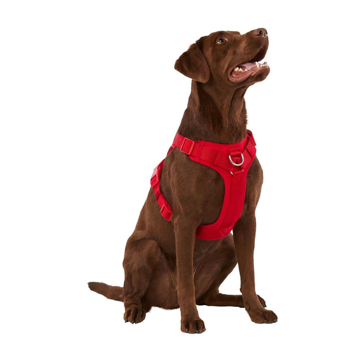 Neoprene Dog Harness W6822