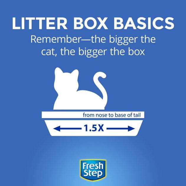 Clumping Cat Litter J453641