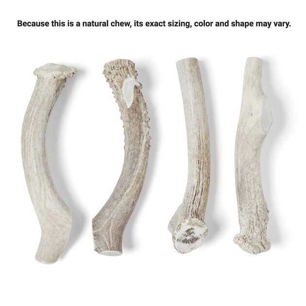 Deer Antler Dog Chew I2786